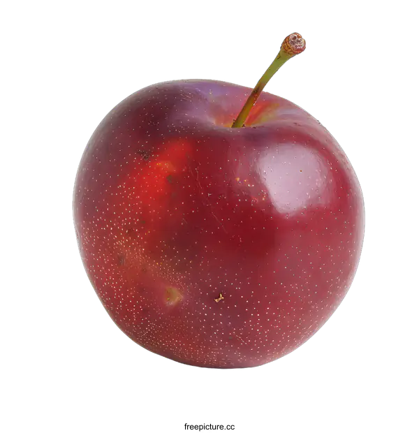 [Transparent Background PNG]Red Plum on White Background