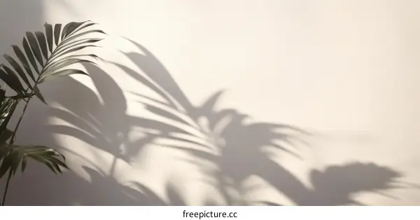 Shadow Play of Palm Leaves on a Light Beige Wall