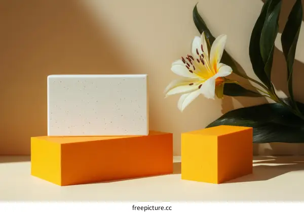 Stylish Minimalist Product Display with Lily Flower