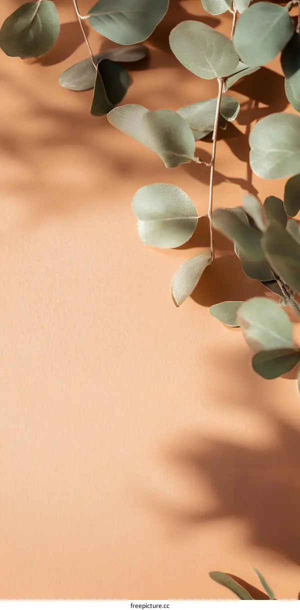 Green Eucalyptus Leaves on a Tan Background