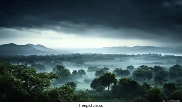 Misty Mountain Range Landscape