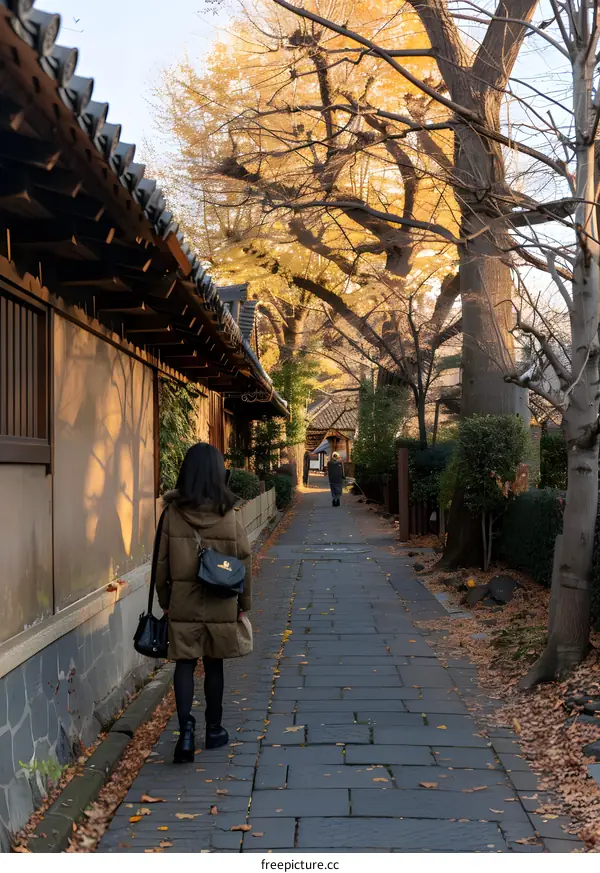 Woman Walking Down a Cobblestone Path Lined with Trees in Japan