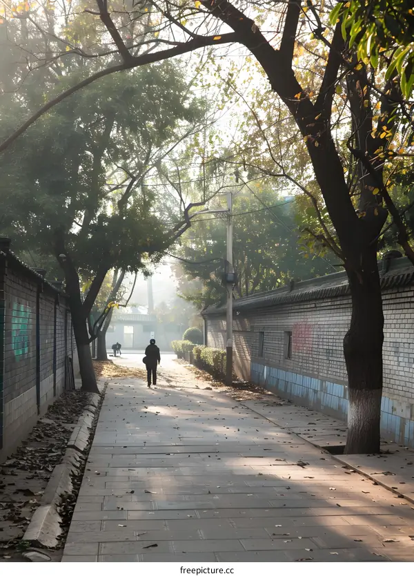 A Single Person Walking Down a Brick Lane in the City
