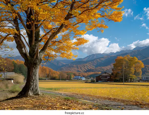 Golden Autumn Countryside Landscape
