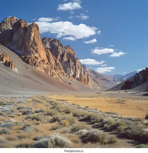 A mountain valley in the Andes
