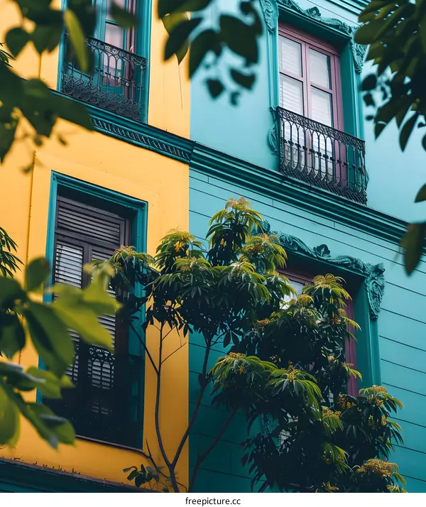 Yellow and Blue Building with Green Tree