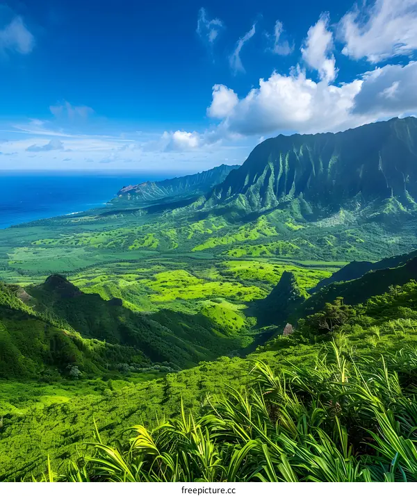The verdant green landscape of Hawaii