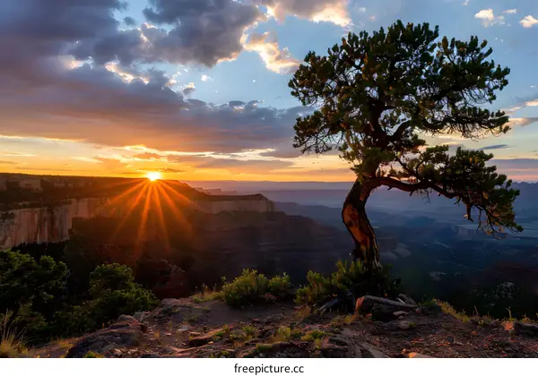 Sunrise Over Grand Canyon With Lone Tree