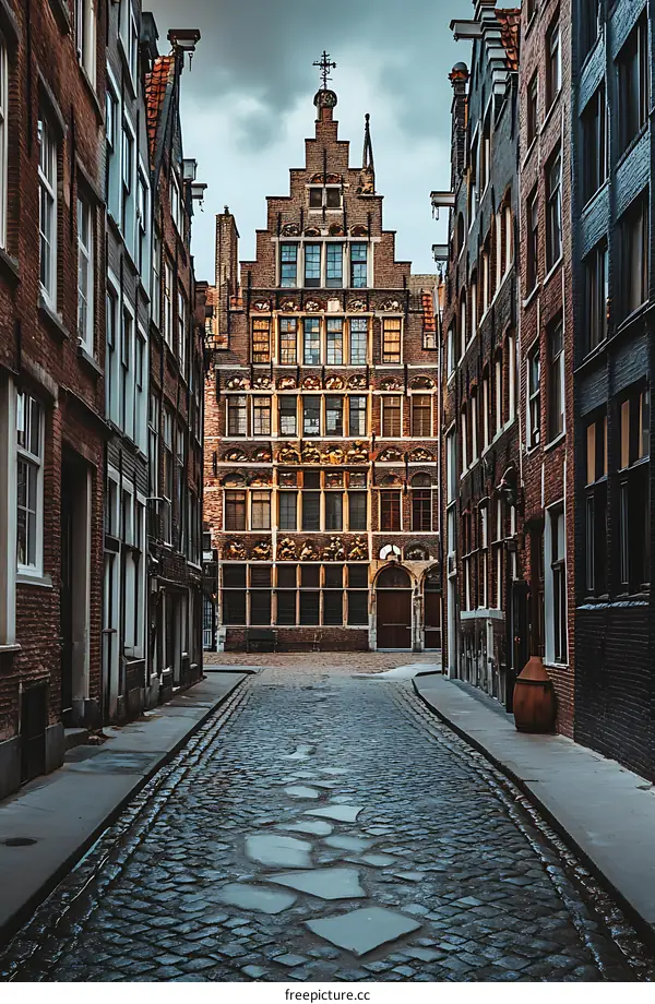 Cobblestone Street in Front of a Historic Building