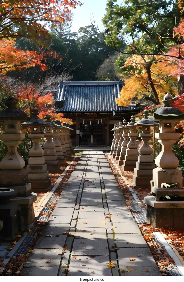 Stone lanterns and autumn leaves at a Japanese temple