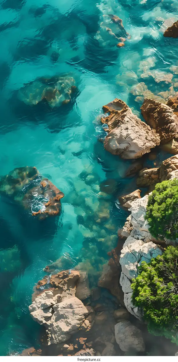 Aerial View of Clear Blue Water With Rocks and Trees
