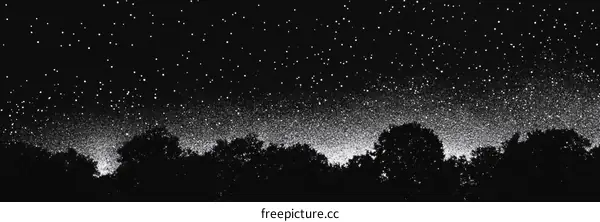 Starry Night Sky Over Forest Silhouette
