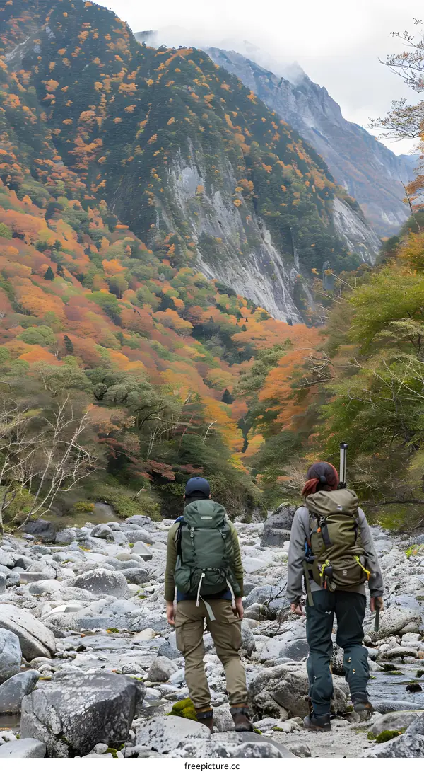 Two Hikers Walking on Rocky Path through Autumn Forest