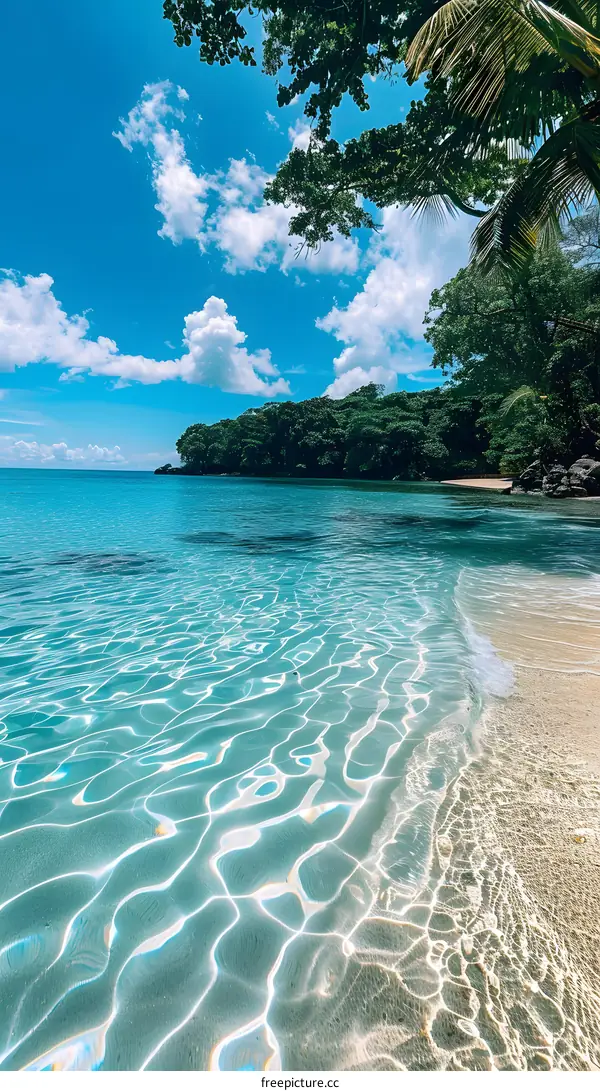 The crystal clear water of the Caribbean Sea