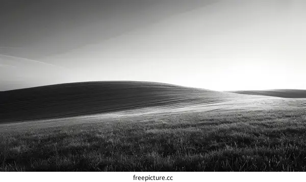 Black and white rural landscape with rolling hills