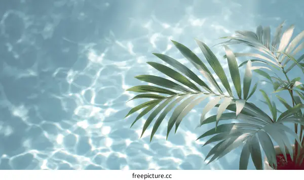 Tropical Palm Leaves in Pool Water