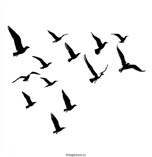 Flock of Birds in Flight