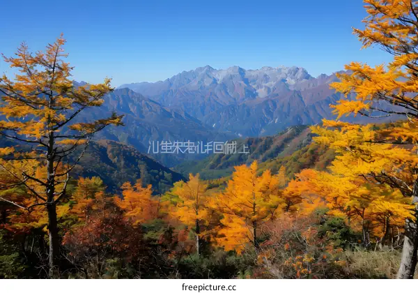 Colorful autumn leaves and mountains in Japan