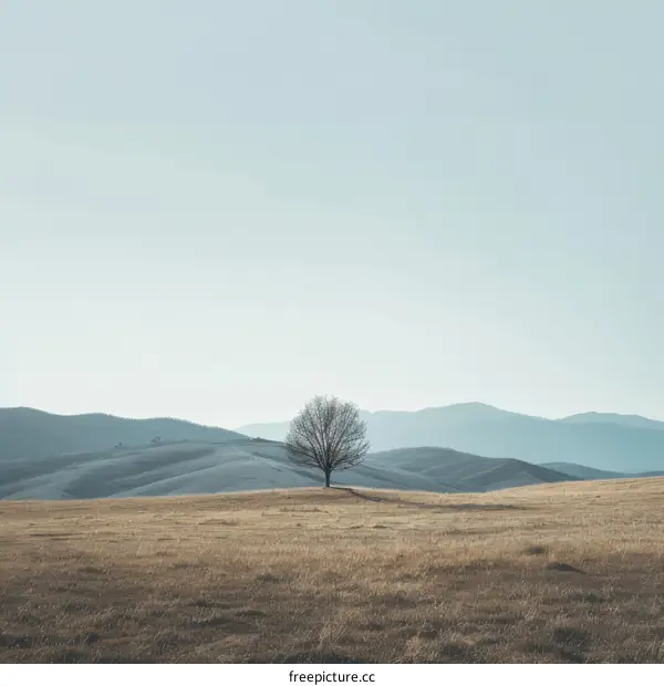Lonely Tree on a Hill
