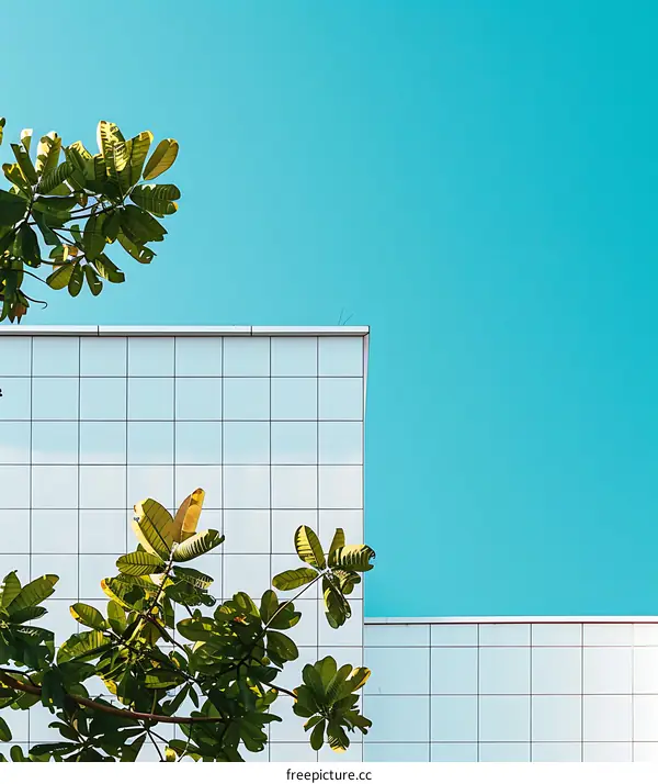 Minimalist Architecture with Green Leaves and Blue Sky