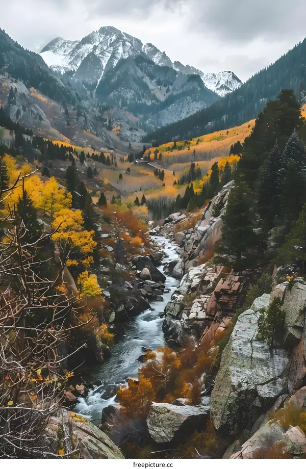 Mountain Creek in the Fall with Yellow Trees