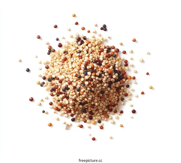 Assorted Quinoa Seeds Displayed on White Background