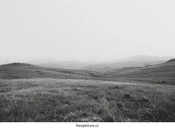 Black and white foggy mountain landscape