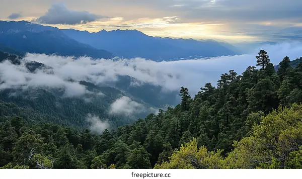 Misty Mountain Valley at Sunrise