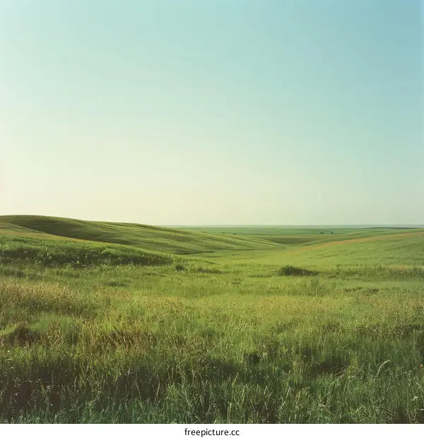 Vast green rolling hills under blue sky