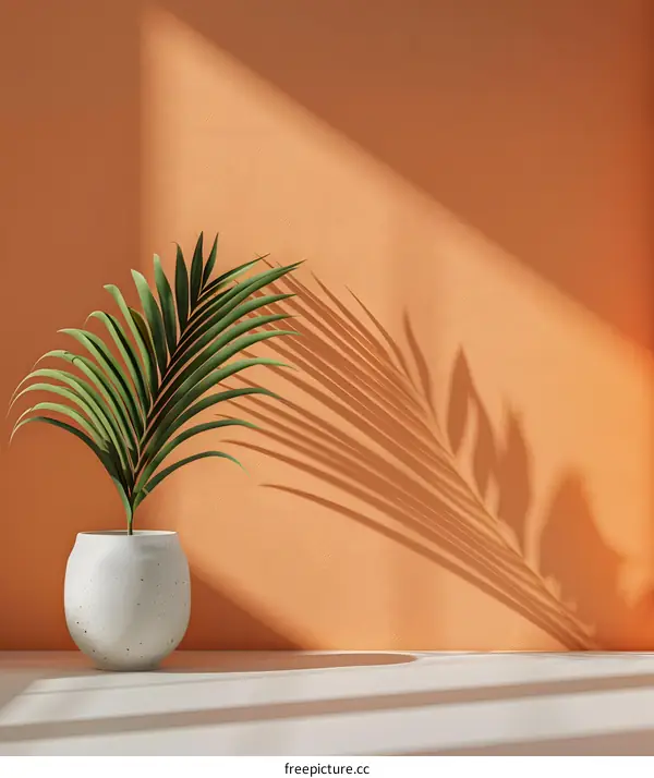 Minimalist Palm Leaf Shadow on Orange Wall
