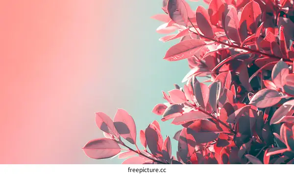 Pink Leaves Against a Pastel Sky Background