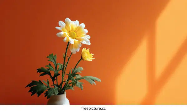 Orange Background with Yellow and White Flowers