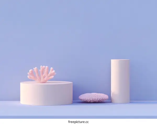Pastel Pink Coral and Sea Creature Display