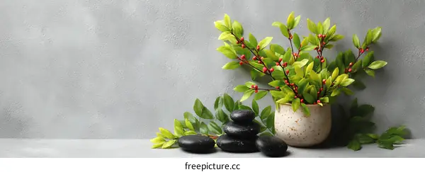Zen stones and plants on a gray background