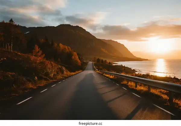 A scenic road along the coast with sunset and autumn trees