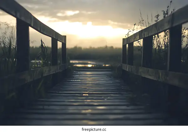 Wooden Bridge Path Leading to Sunset
