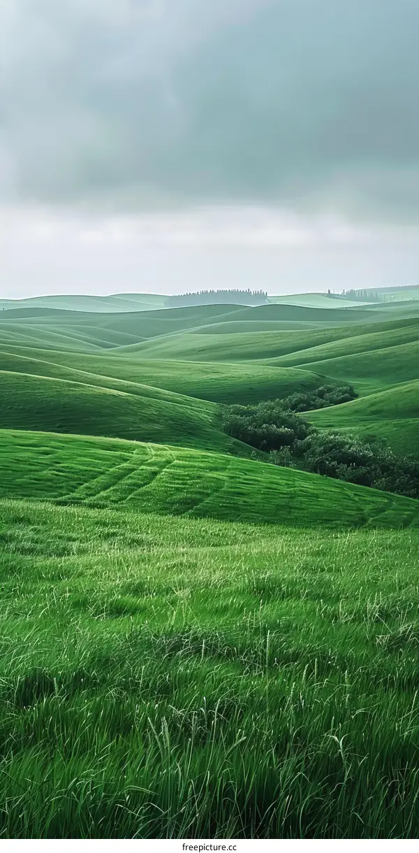 Green rolling hills of Tuscany, Italy