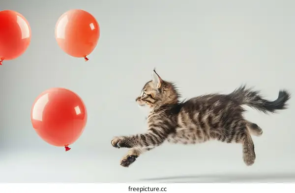 A Kitten Chasing Three Red Balloons