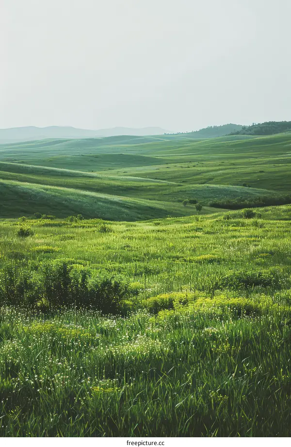 Serene Green Hills in the Countryside