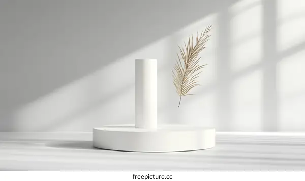 Minimalist White Geometric Display Podium with Dry Leaf