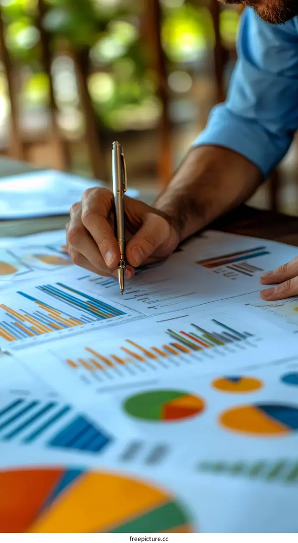 Business Analysis with Charts and Graphs