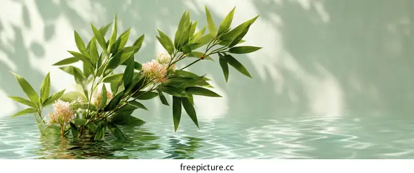 Elegant Green Plants Floating on Water Surface with Soft Light and Shadows