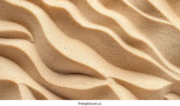 Sand Dunes in the Desert, Close-up