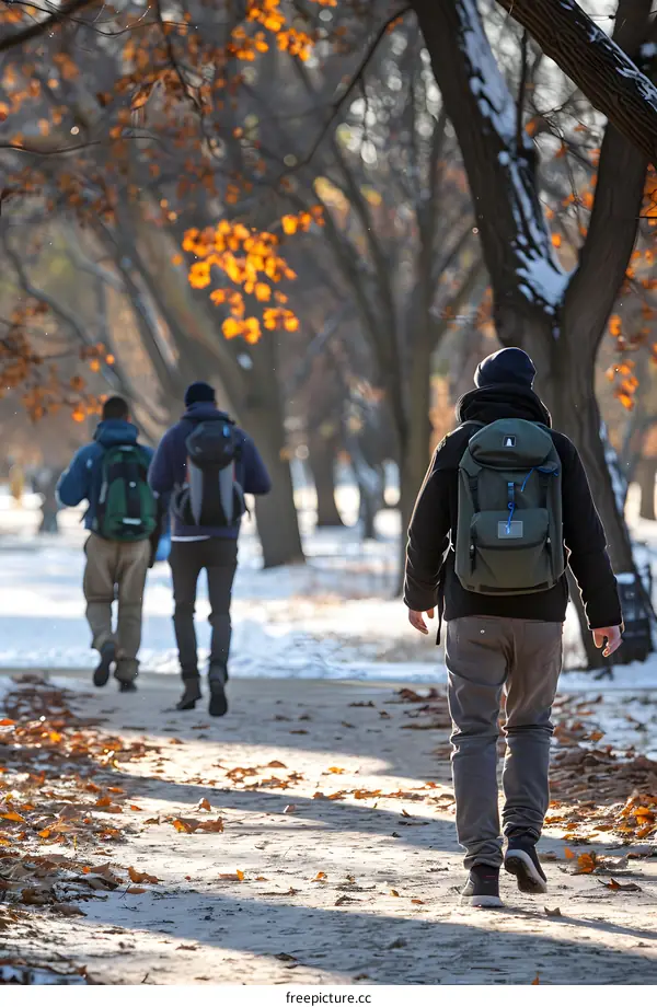 Three People Walking In A Snowy Forest Trail