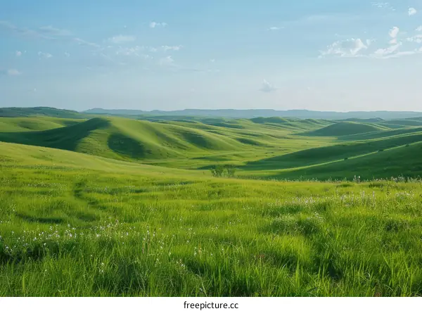 Rolling Green Hills Under a Blue Sky