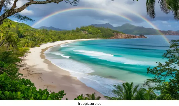 Beach with white sand, palm trees and rainbow in the sky