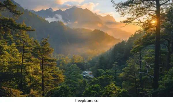 Sunrise Over Lush Mountain Valley