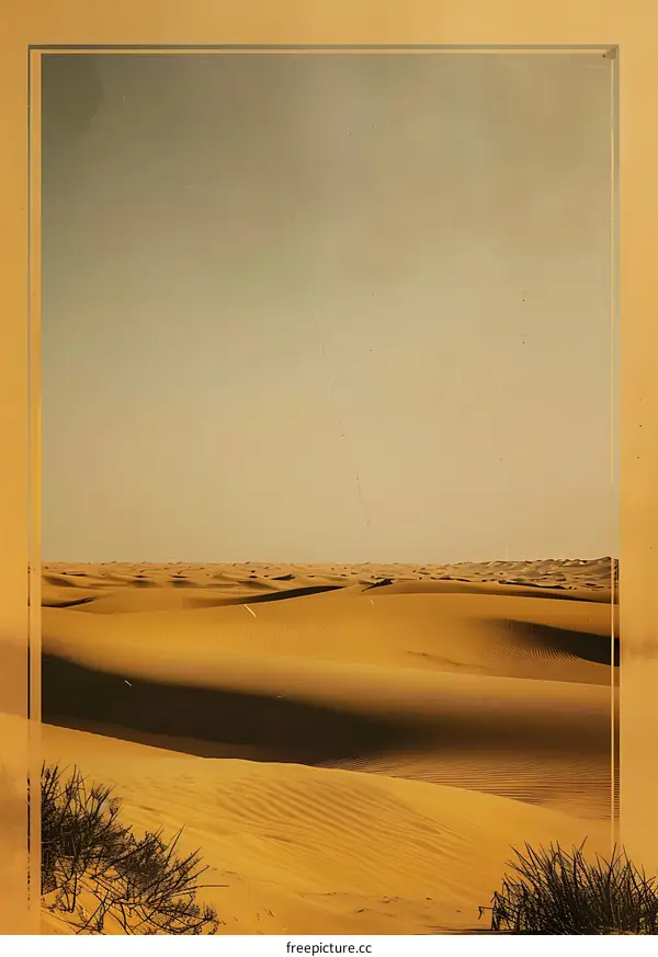 Vintage Desert Landscape Photo With Sand Dunes