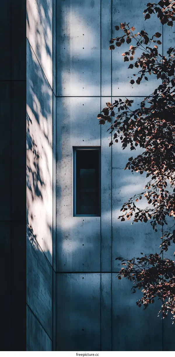 Concrete Wall With Window And Branch Of Tree