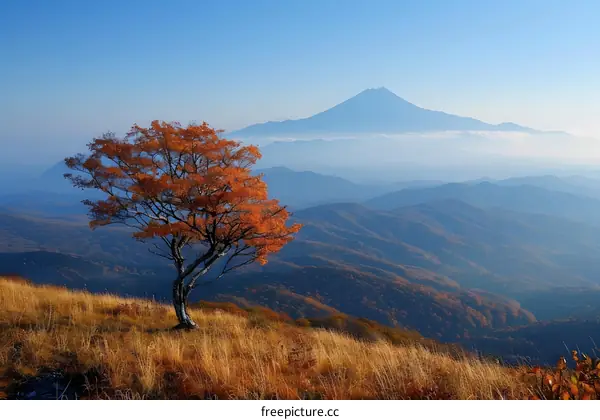 Autumn Landscape with Single Tree and Mountain in Background